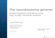 The neuroblastoma genome Studies of genomic alterations using copy number microarray analyzes Tommy Martinsson Department of Clinical Genetics Sahlgrenska