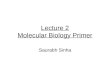 Lecture 2 Molecular Biology Primer Saurabh Sinha