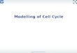 Edda Klipp, Humboldt-Universität zu Berlin Modelling of Cell Cycle