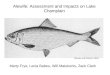 Alewife: Assessment and Impacts on Lake Champlain (Brooks and Dodson, 1965) Marty Frye, Lecia Babeu, Will Matukonis, Zack Clark