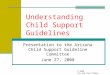 Understanding Child Support Guidelines Presentation to the Arizona Child Support Guideline Committee June 27, 2008 © 2008 Ira and Tara Ellman
