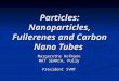 Particles: Nanoparticles, Fullerenes and Carbon Nano Tubes Margarethe Hofmann MAT SEARCH, Pully President SVMT