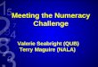 Meeting the Numeracy Challenge Valerie Seabright (QUB) Terry Maguire (NALA)