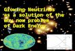 Growing Neutrinos as a solution of the why now problem of Dark Energy