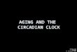 AGING AND THE CIRCADIAN CLOCK DENNIE KIM MCB186 13 DECEMBER 2006
