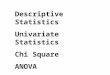 Descriptive Statistics Univariate Statistics Chi Square ANOVA