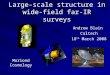 Large-scale structure in wide- field far-IR surveys Andrew Blain Caltech 18 th March 2008 Moriond Cosmology