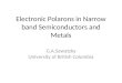 Electronic Polarons in Narrow band Semiconductors and Metals G.A.Sawatzky University of British Columbia