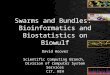 David Hoover Scientific Computing Branch, Division of Computer System Services CIT, NIH Swarms and Bundles: Bioinformatics and Biostatistics on Biowulf