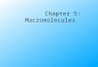 Chapter 5: Macromolecules Macromolecules Large organic molecules built by smaller molecules. 4 major classes of macromolecules: – carbohydrates – lipids