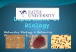 Molecular Biology & Molecular Microbiology & Genetics