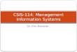 Dr. Eric Breimer CSIS-114: Management Information Systems
