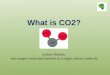 What is CO2? Carbon Dioxide: two oxygen molecules bonded to a single carbon molecule