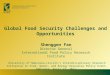 Global Food Security Challenges and Opportunities Shenggen Fan Director General International Food Policy Research Institute University of Nebraska-Lincoln’s