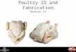Poultry ID and Fabrication Session IV. Today’s Agenda Syllabus and Course Overview Poultry [Chapter 18 pgs.461 to 494] Kinds and Classes Structure and