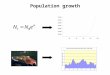 Population growth. The simplest model of population growth What are the assumptions of this model?