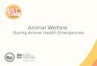 Animal Welfare During Animal Health Emergencies. Animal Welfare ●Ethical responsibility ●Ensuring animal well being ●Physical and mental ●Consideration