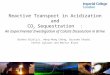 Reactive Transport in Acidization and CO 2 Sequestration : An Experimental Investigation of Calcite Dissolution in Brine Branko Bijeljic, Weng-Hong Chong,