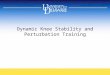 Dynamic Knee Stability and Perturbation Training
