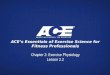 ACE’s Essentials of Exercise Science for Fitness Professionals Chapter 2: Exercise Physiology Lesson 2.2