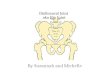 Iliofemoral Joint aka Hip Joint By Suzannah and Michelle