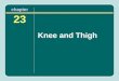 Chapter 23 Knee and Thigh. The Knee The knee is one of the most frequently injured joints in athletics. The forces applied to it during sport activities