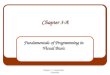 Chapter 3 - Visual Basic Schneider Chapter 3-A Fundamentals of Programming in Visual Basic