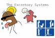 The Excretory Systems. As your body performs chemical activities to keep you alive, waste products, such as carbon dioxide and ammonia, are made These