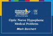 Optic Nerve Hypoplasia: Medical Problems Mark Borchert