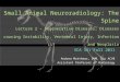 Small Animal Neuroradiology: The Spine Lecture 2 – Degenerative Diseases, Diseases causing Instability, Vertebral Injury, Infection and Neoplasia VCA 341