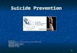 1 Suicide Prevention Developed by: Education, Training, and Dissemination core of the VISN 2 Center of Excellence Canandaigua VA Medical Center Center