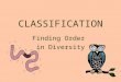 CLASSIFICATION Finding Order in Diversity. Organism Number Described Estimated number to be Discovered Viruses5,000about 500,000 Bacteria4,000400,000-300