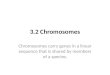 3.2 Chromosomes Chromosomes carry genes in a linear sequence that is shared by members of a species