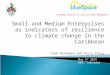 Small and Medium Enterprises as indicators of resilience to climate change in the Caribbean Asad Mohammed and Perry Polar Caribbean Network for Land and