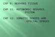 Describe the organization of the nervous system.  Explain the three basic functions of the nervous system.  Contrast the histological characteristics