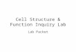 Cell Structure & Function Inquiry Lab Lab Packet