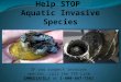 IF you suspect invasive species, call the TIP Line IMMEDIATELY at 1-800-667-7561