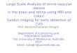 Large Scale Analysis of micro-vascular lesions in the brain and retina using MRI and colour fundus imaging for early detection of CVD Prof. Ramamohanarao