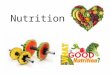 Nutrition. Overview Proper nutrition forms foundation for physical performance: -Provides fuel for biological work -Chemicals for extracting & using potential