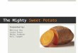 Click to edit Master subtitle style The Mighty Sweet Potato Presented by: Melissa Hsu Laura Prevo Reiko Sudduth Kali Tupper