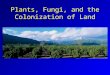 Plants, Fungi, and the Colonization of Land. Migration onto Land Continents subjected to flooding and receding of seas throughout geologic time. Natural