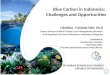 Blue Carbon in Indonesia: Challenges and Opportunities HENDRA YUSRAN SIRY, Ph.D Deputy Director RCMFSE/Coastal Zone Management Specialist/ Lead Negotiator