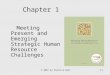 © 2007 by Prentice Hall1-1 Chapter 1 Meeting Present and Emerging Strategic Human Resource Challenges
