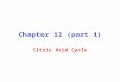 Chapter 12 (part 1) Citric Acid Cycle. Gylcolysis TCA Cycle Electron Transport and Oxidative phosphorylation