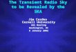 The Transient Radio Sky to be Revealed by the SKA Jim Cordes Cornell University AAS Meeting Washington, DC 8 January 2002