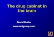 The drug cabinet in the brain David Butler 