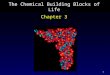 1 The Chemical Building Blocks of Life Chapter 3