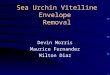 Sea Urchin Vitelline Envelope Removal Devin Morris Maurice Fernandez Milton Diaz