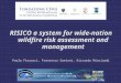 RISICO a system for wide-nation wildfire risk assessment and management Paolo Fiorucci, Francesco Gaetani, Riccardo Minciardi