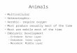 Animals Multicellular Heterotrophic- Aerobic- require oxygen Most produce sexually most of the time Most are mobile most of the time Embryonic Development